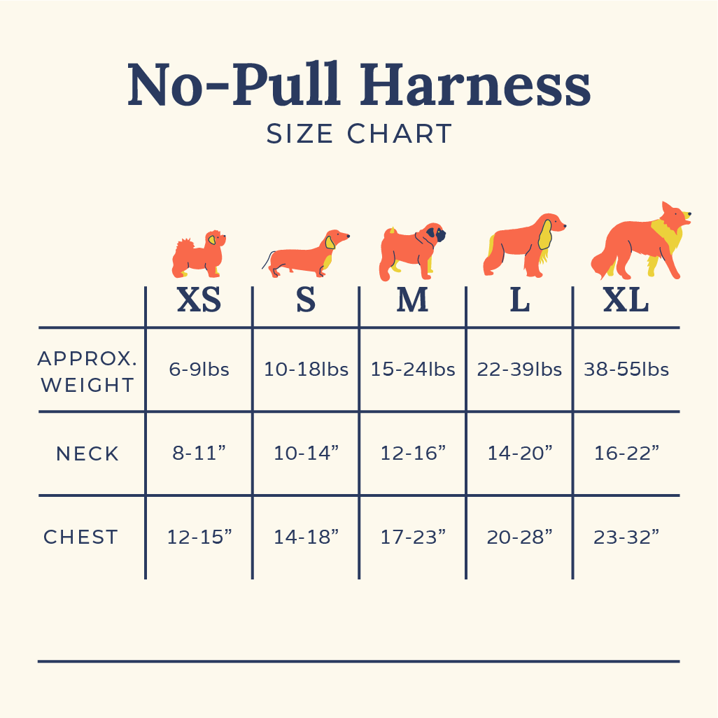 Cinnamon Teddy No-Pull Harness