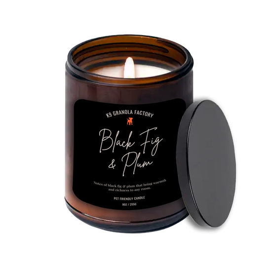 Pet Friendly SOY Candle, Odor Eliminator Black Fig Plum 9oz