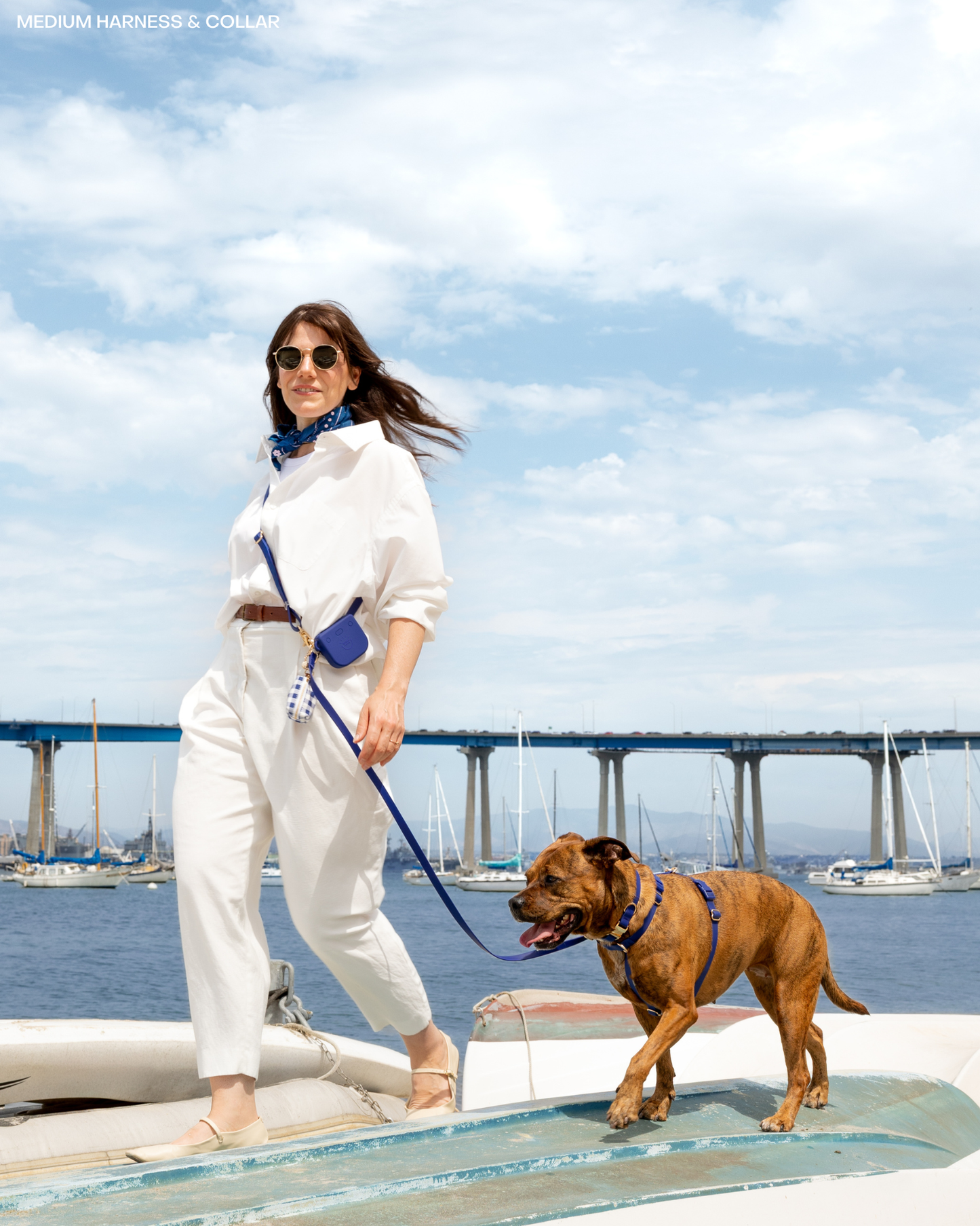 Navy 4-in-1 Convertible Hands Free Cloud Dog Leash