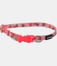 Coastal Cat Lil' Pals Kitten Collar 6-8" Daisy