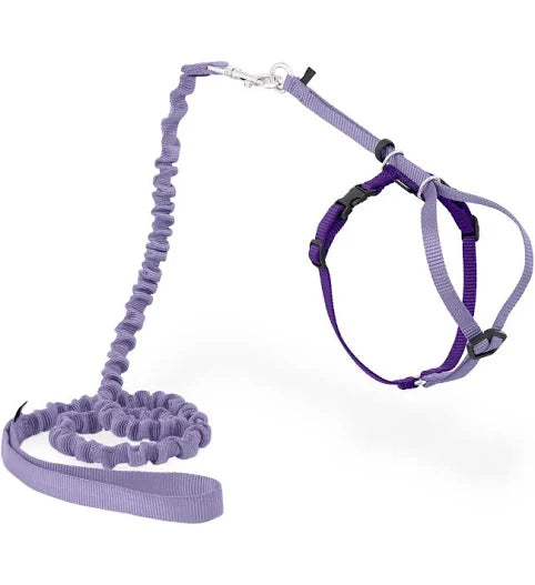 Petsafe Come with Me Kitty Harness Lilac- SM