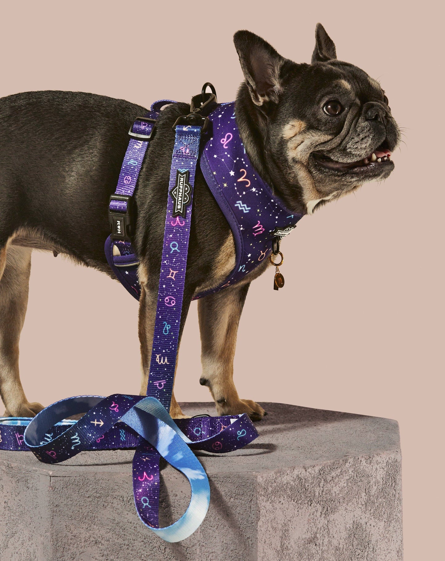 Ruff Haus - Zodiac Drip Reversible Harness