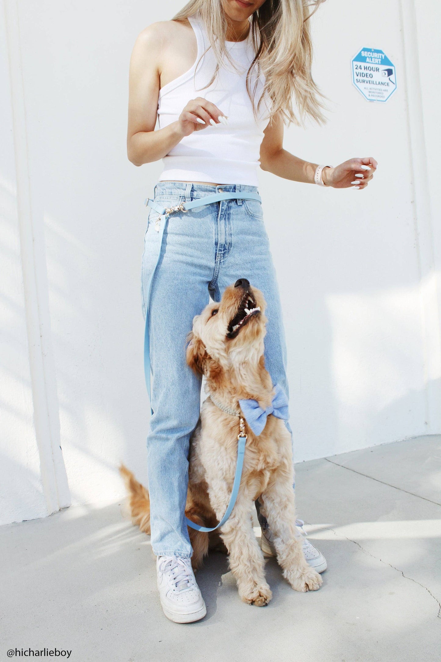 Meadow Green 4-in-1 Convertible Hands Free Cloud Dog Leash