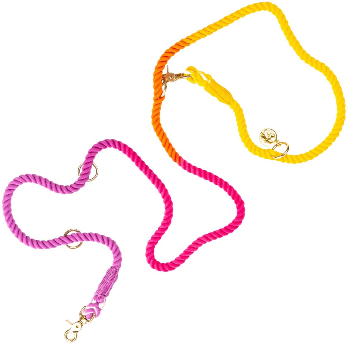 Roxy Hands-Free Leash | Multifunctional Dog Leash