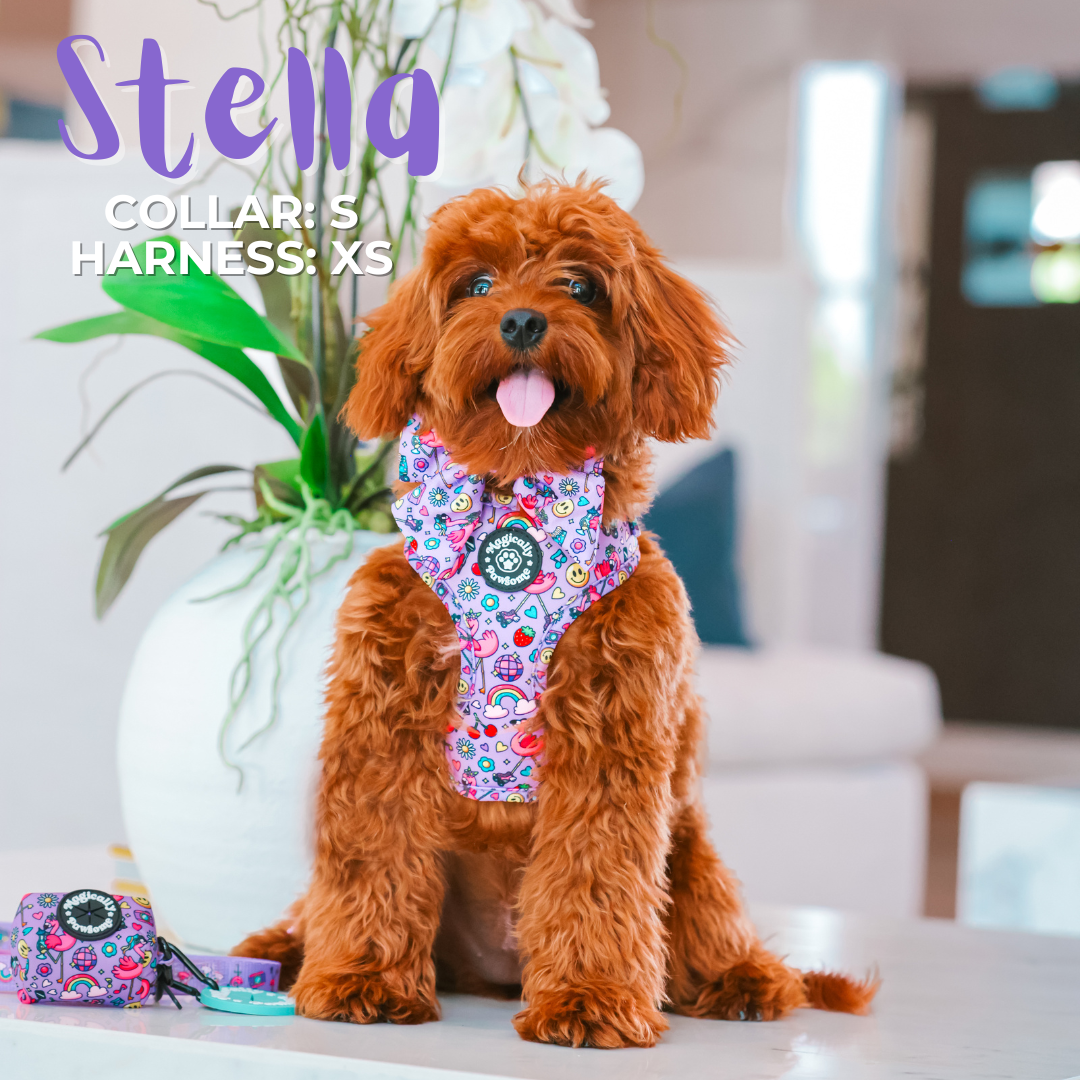 DOG ADJUSTABLE HARNESS - I'M FLAMAZING!