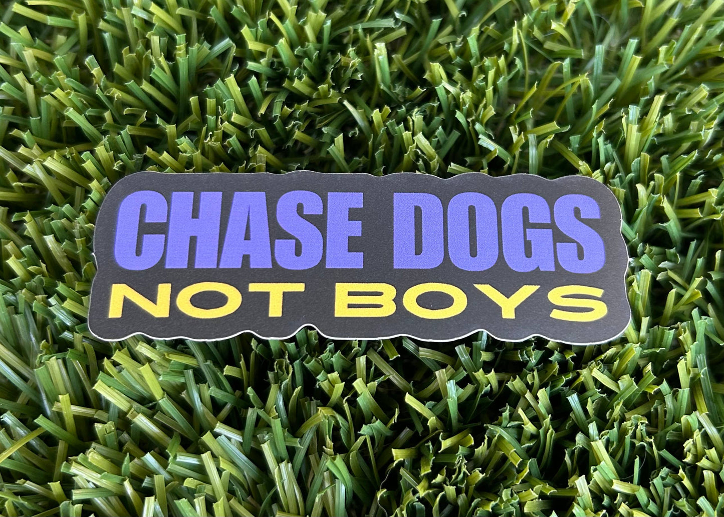 Chase Dogs Not Boys Sticker