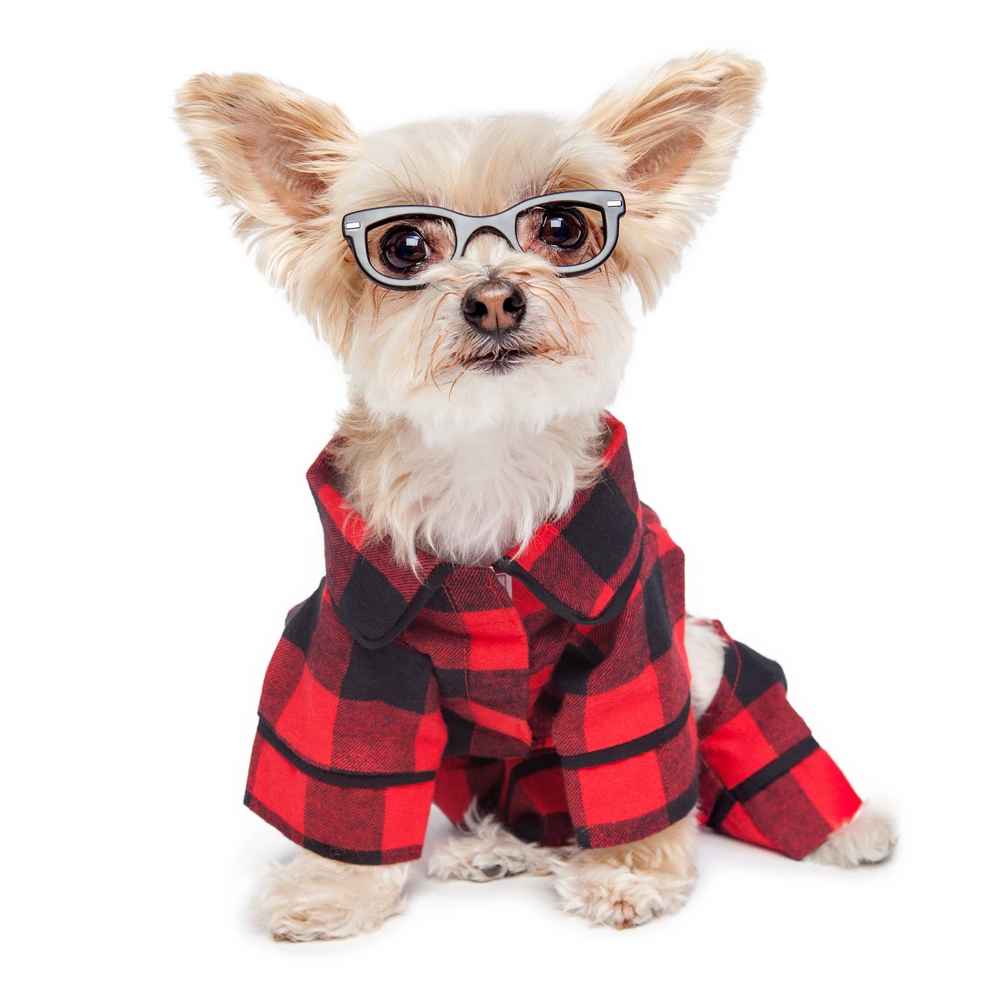 Buffalo Check Dog Pajamas