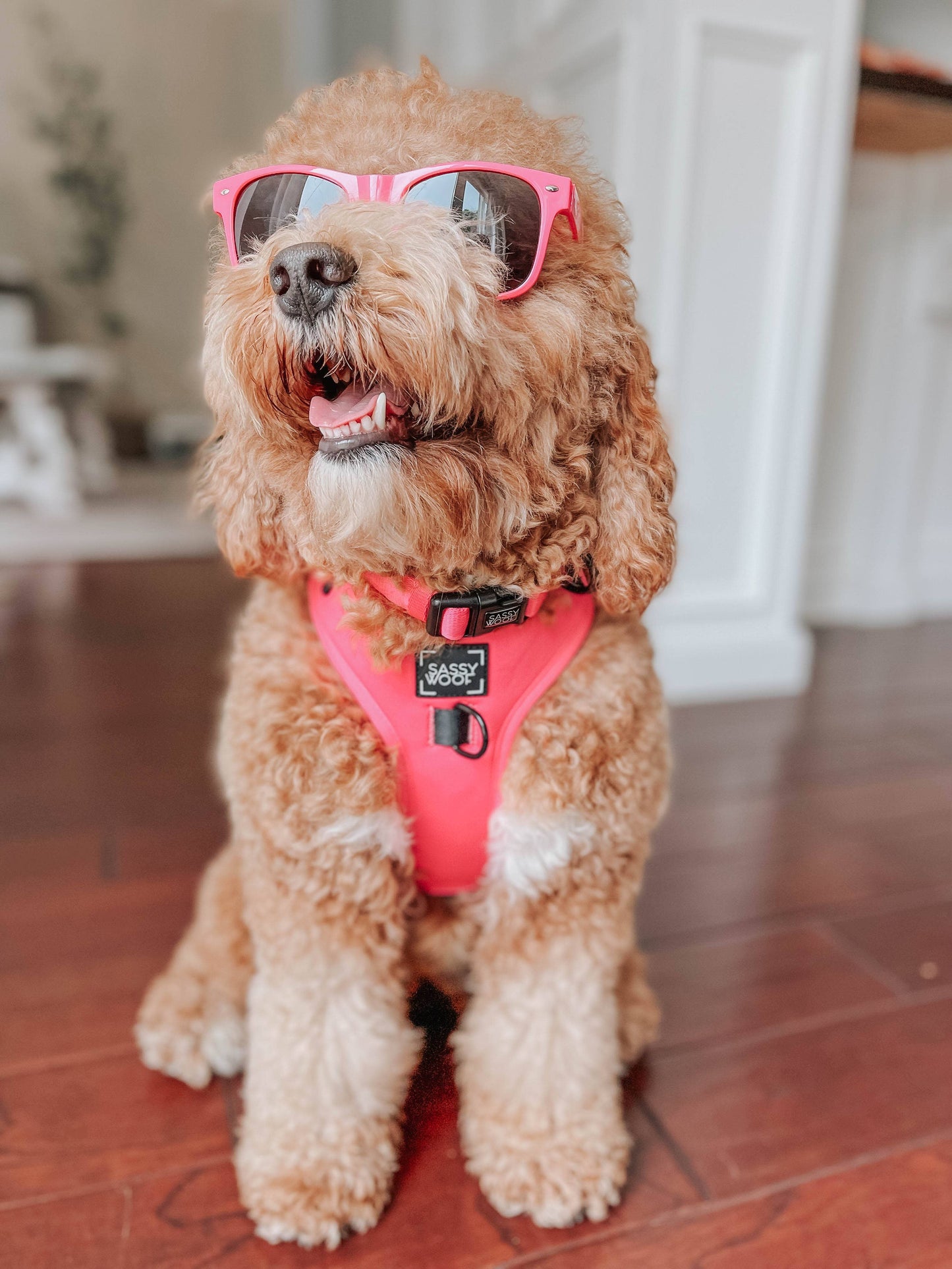 Dog Adjustable Harness - Neon Pink (Mother's Day)