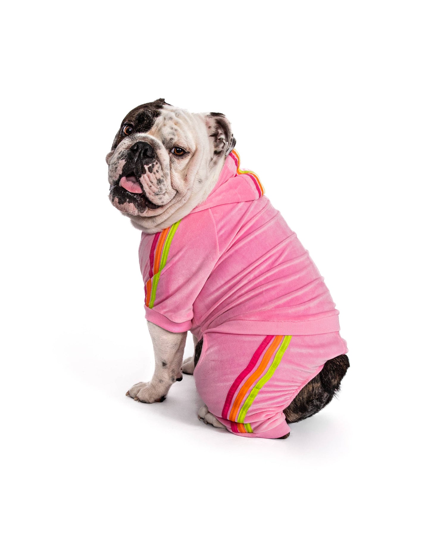 Pink Velour Dog Jogger