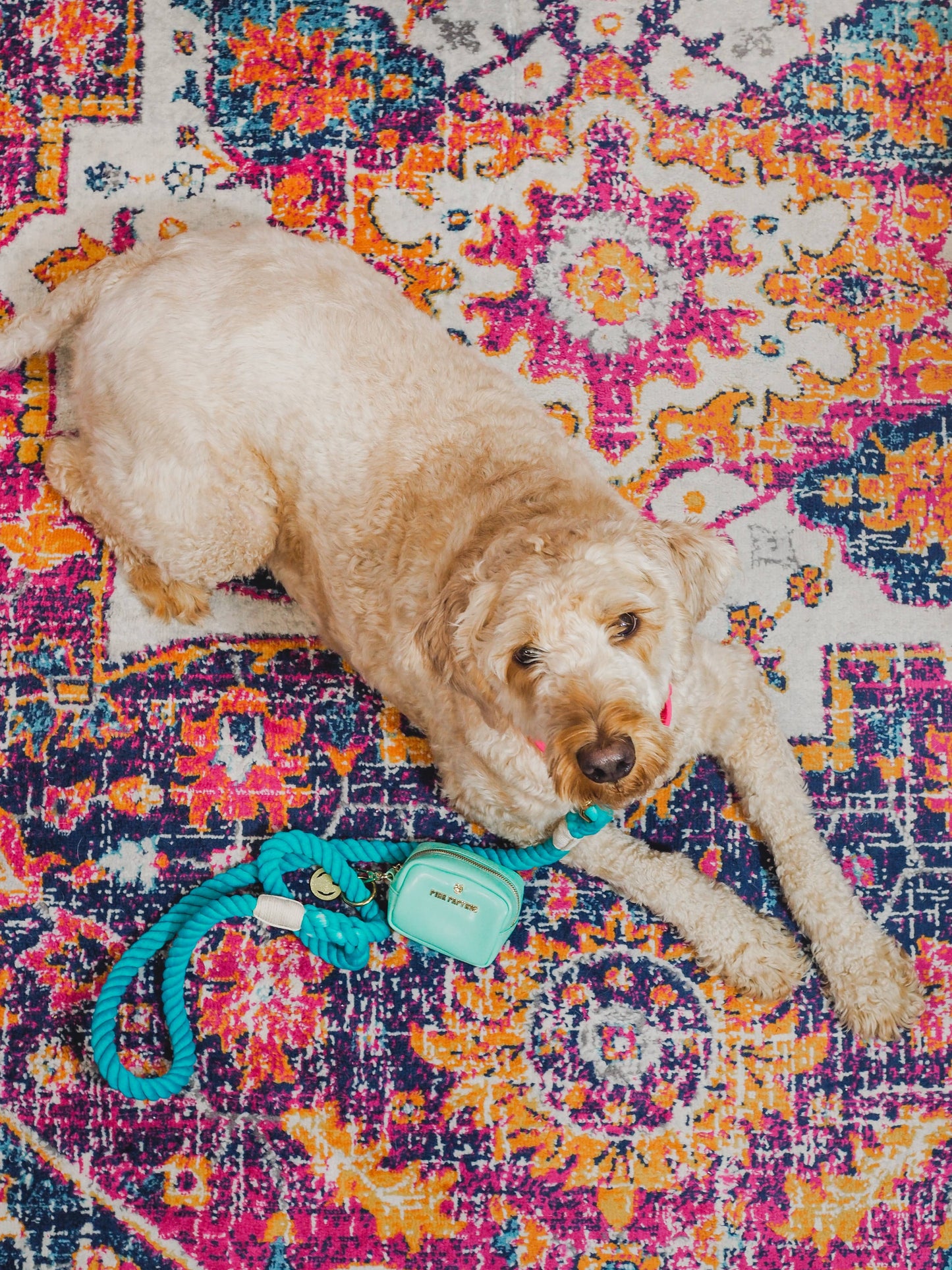 Ariel Rope Dog Leash | Dog Leash | Green Leash