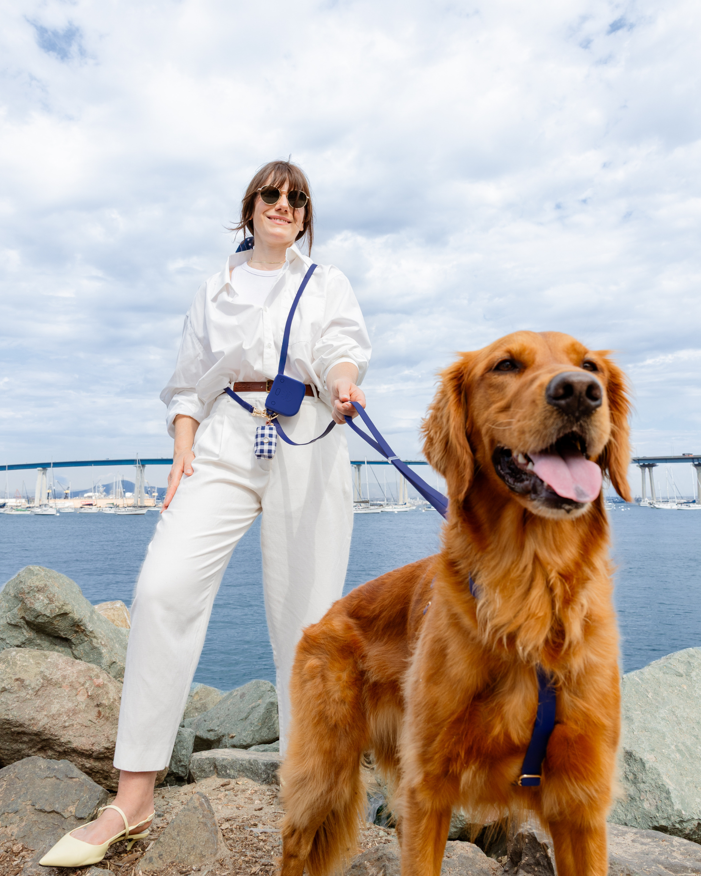 Navy 4-in-1 Convertible Hands Free Cloud Dog Leash