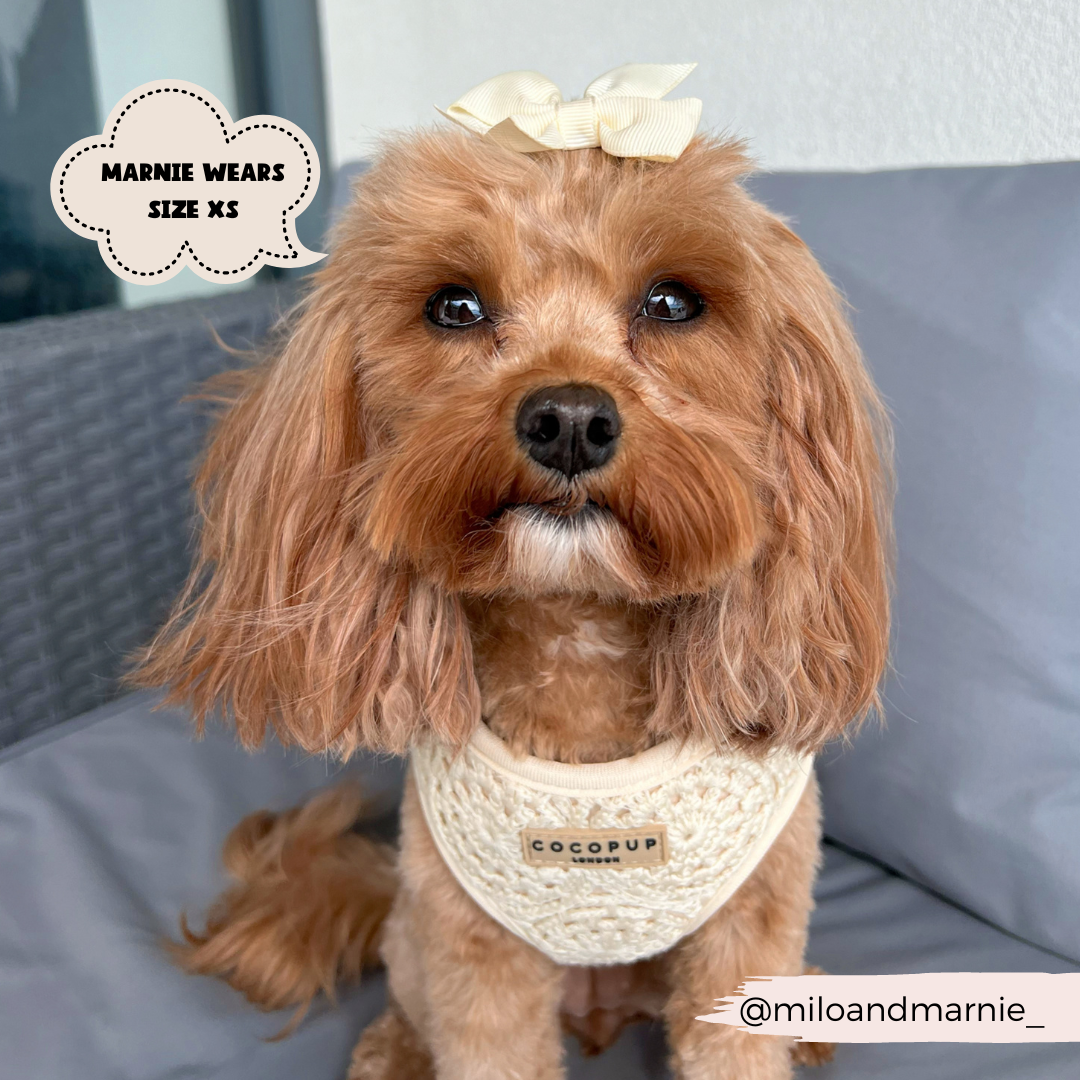 Festival Crochet Adjustable Neck Harness