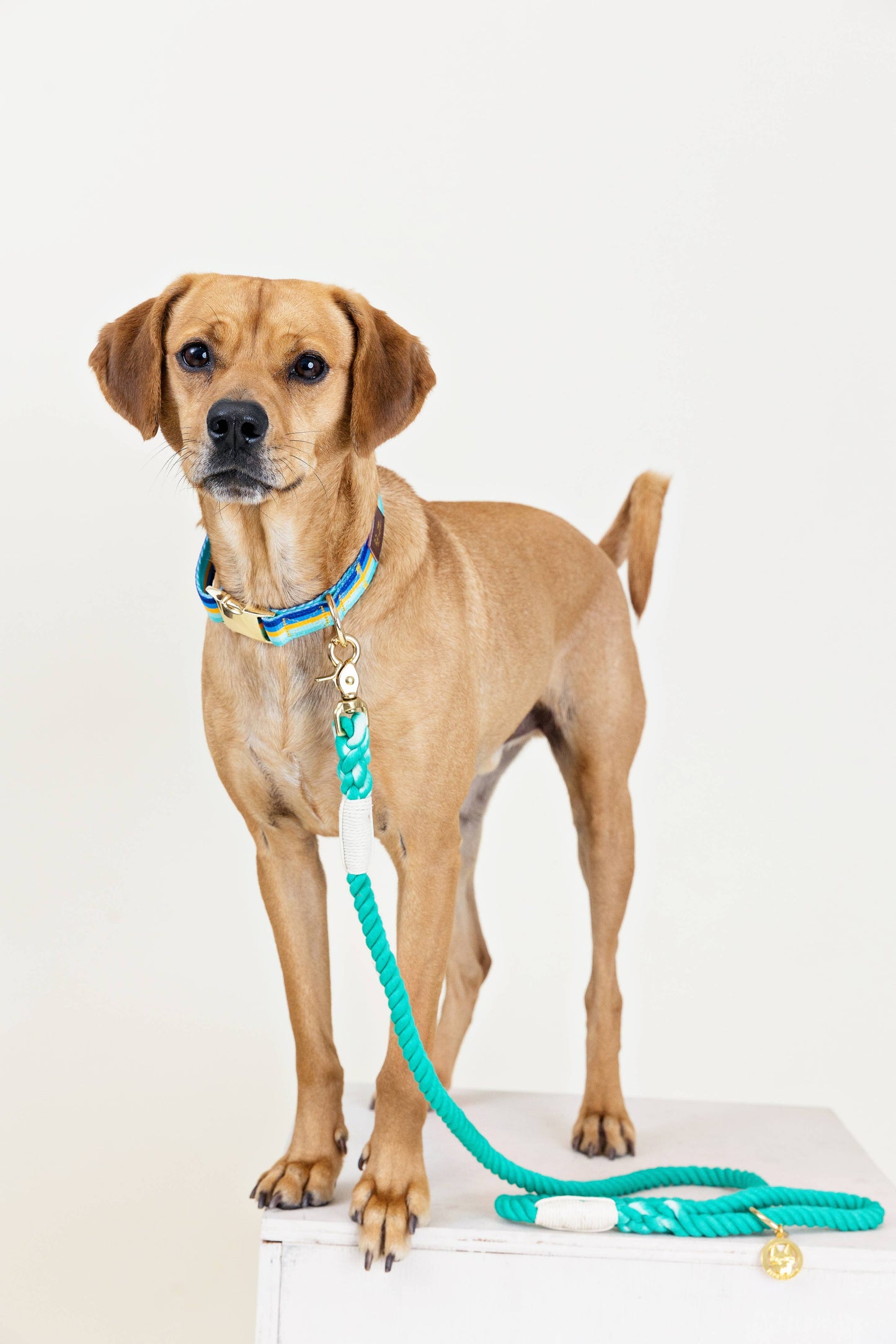 Ariel Rope Dog Leash | Dog Leash | Green Leash