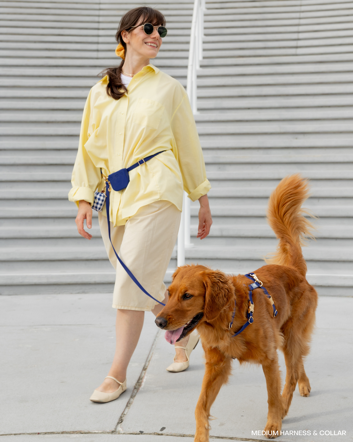 Navy 4-in-1 Convertible Hands Free Cloud Dog Leash