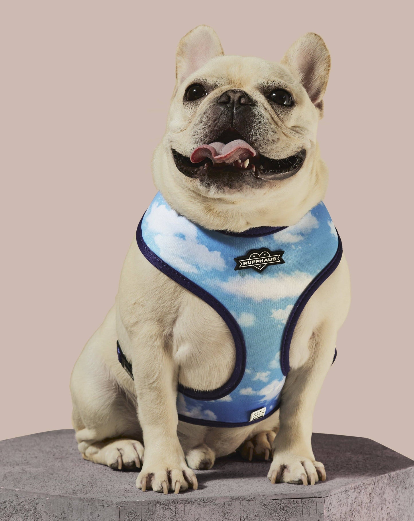 Ruff Haus - Zodiac Drip Reversible Harness