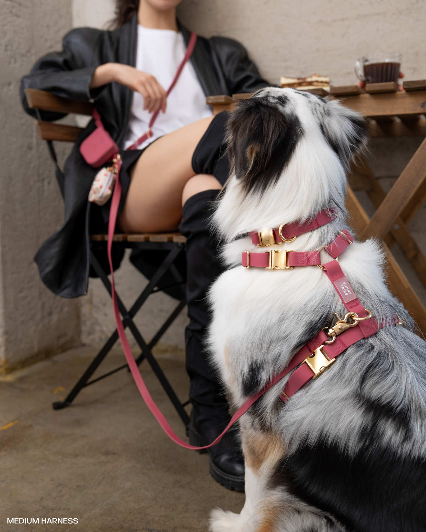 Burgundy 4-in-1 Convertible Hands Free Cloud Dog Leash