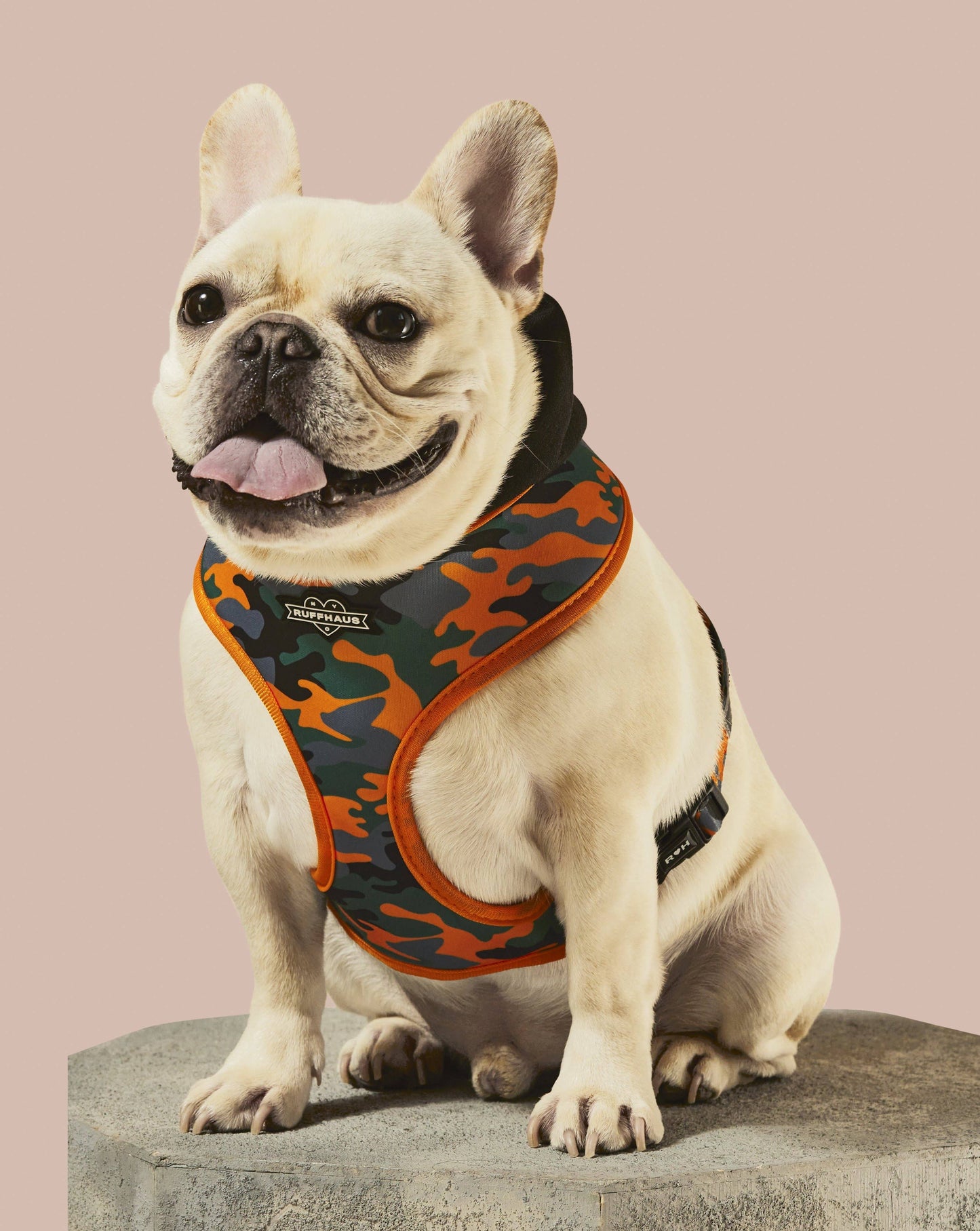 Ruff Huas - Camo QT Orange Hoodie Harness