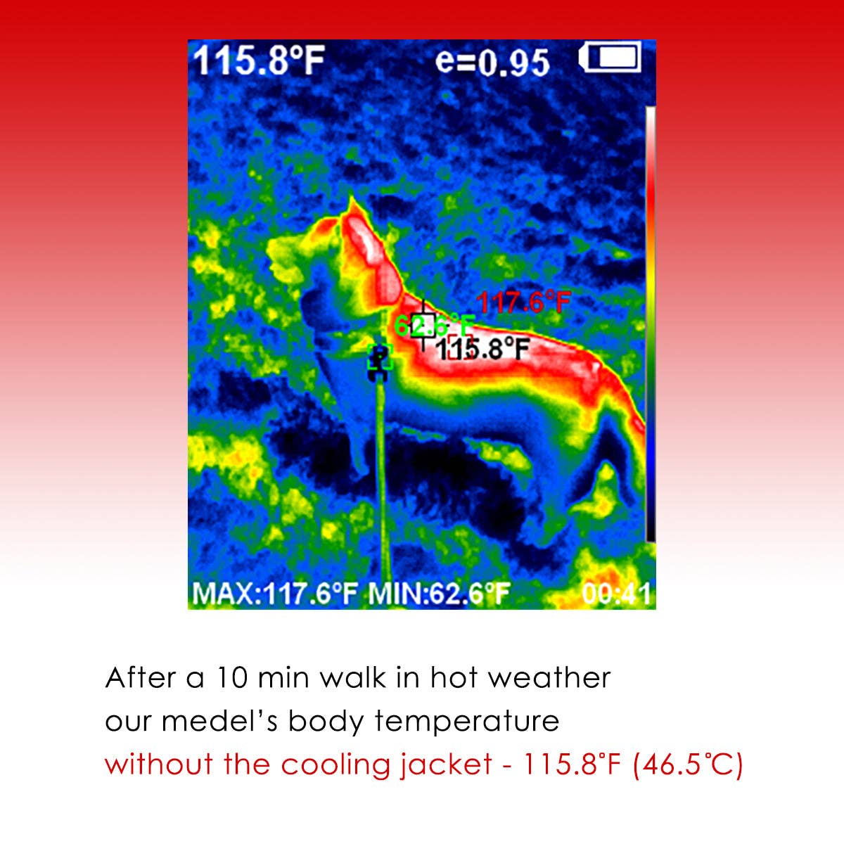 LCB Green Leaf Cooling Jacket