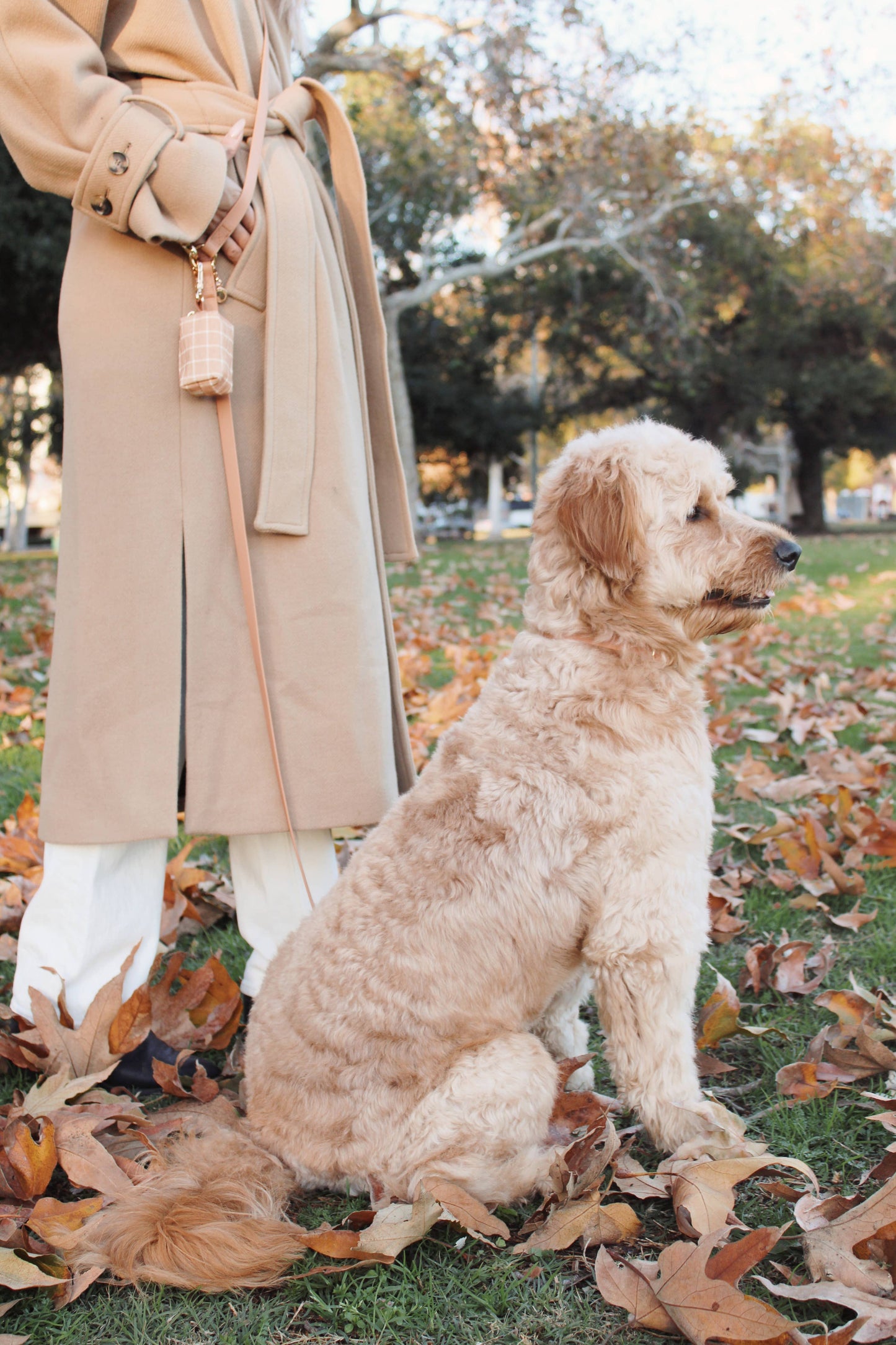 Meadow Green 4-in-1 Convertible Hands Free Cloud Dog Leash