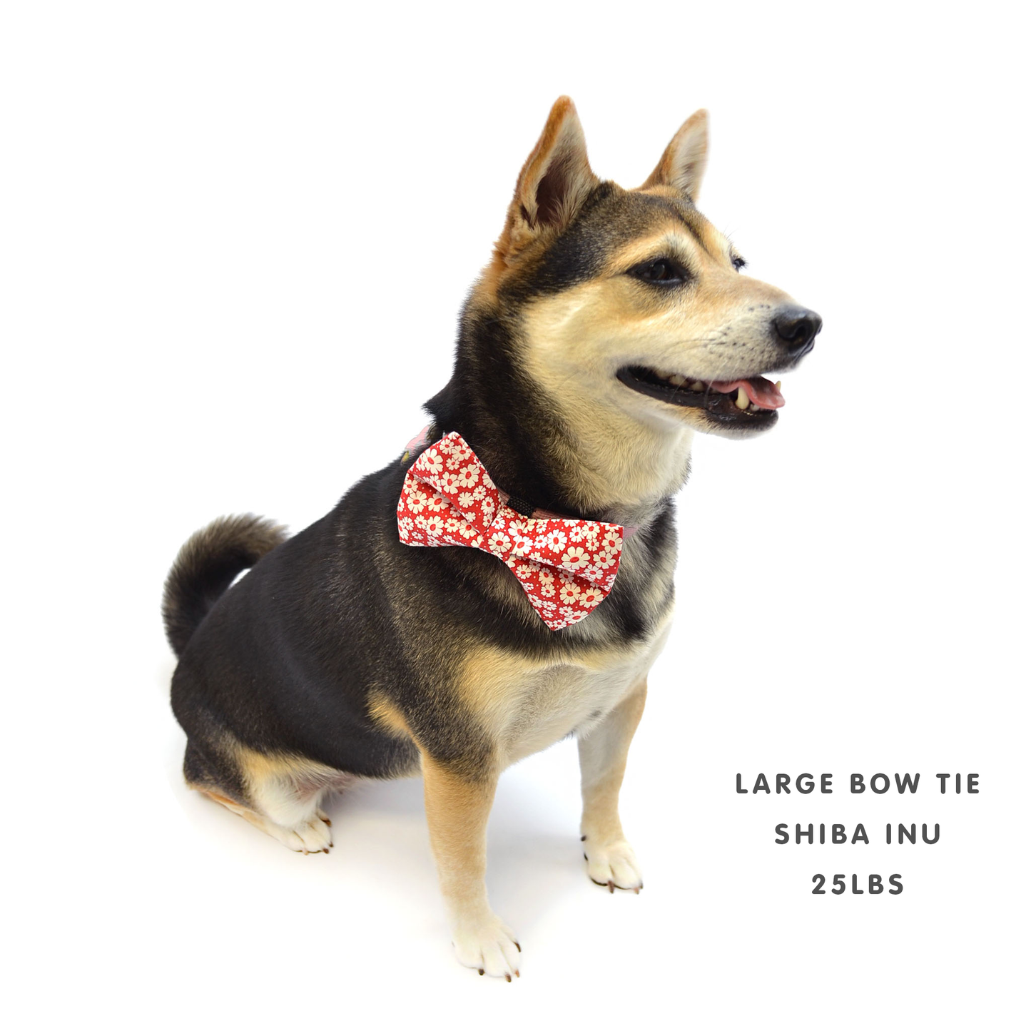 Pink Dog Bow Tie