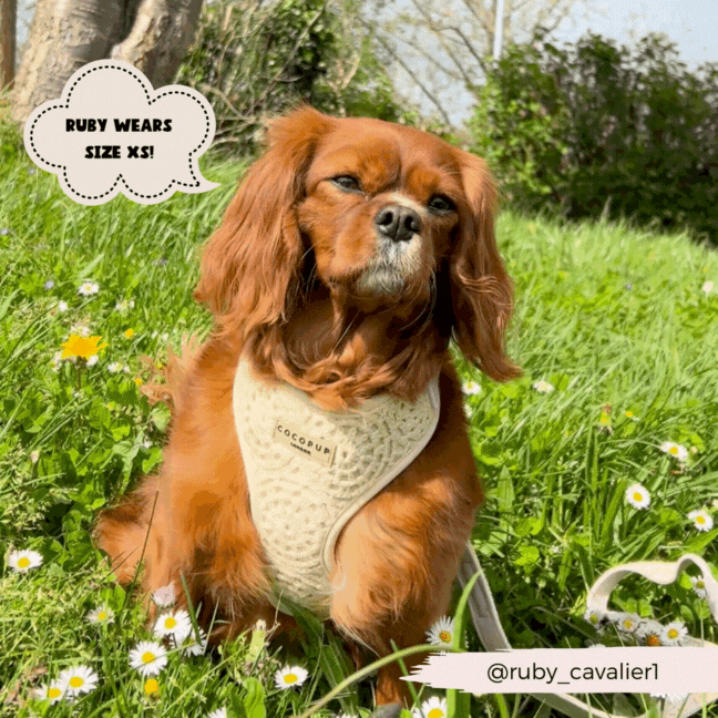 Festival Crochet Adjustable Neck Harness
