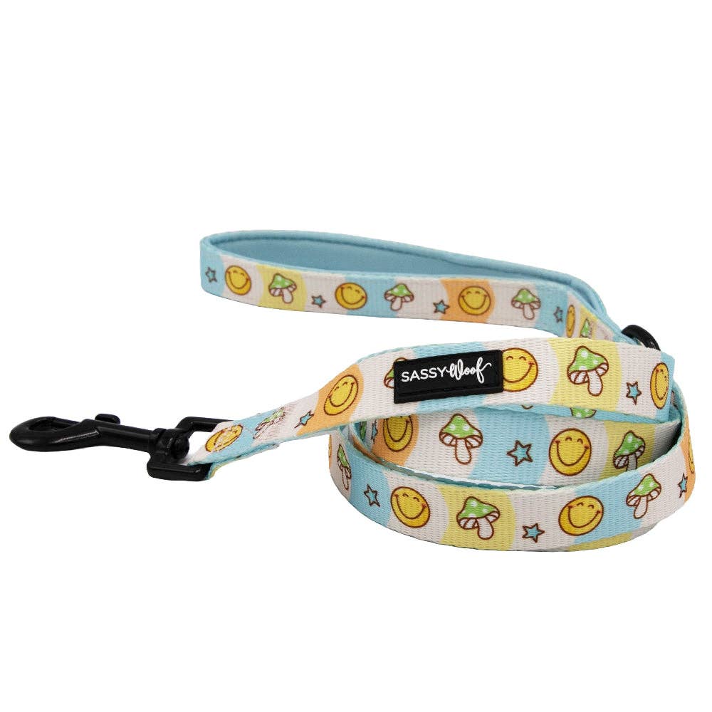 Dog Leash - Mush Love (Spring)