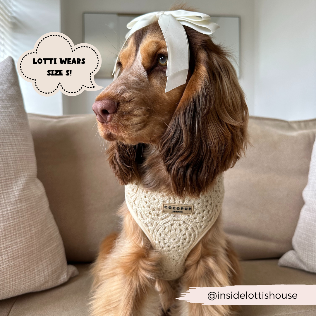 Festival Crochet Adjustable Neck Harness