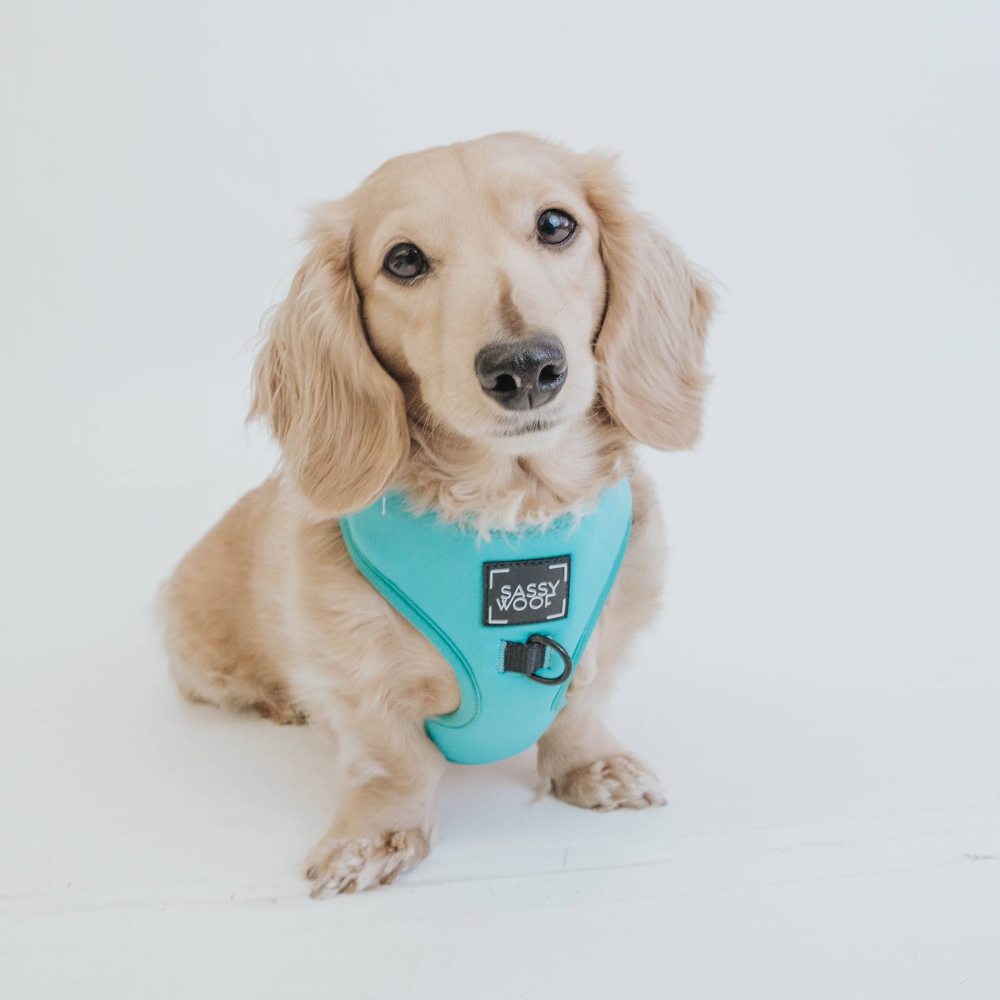 Dog Adjustable Harness - Neon Blue